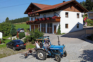 Ferienhaus bei Teisnach
